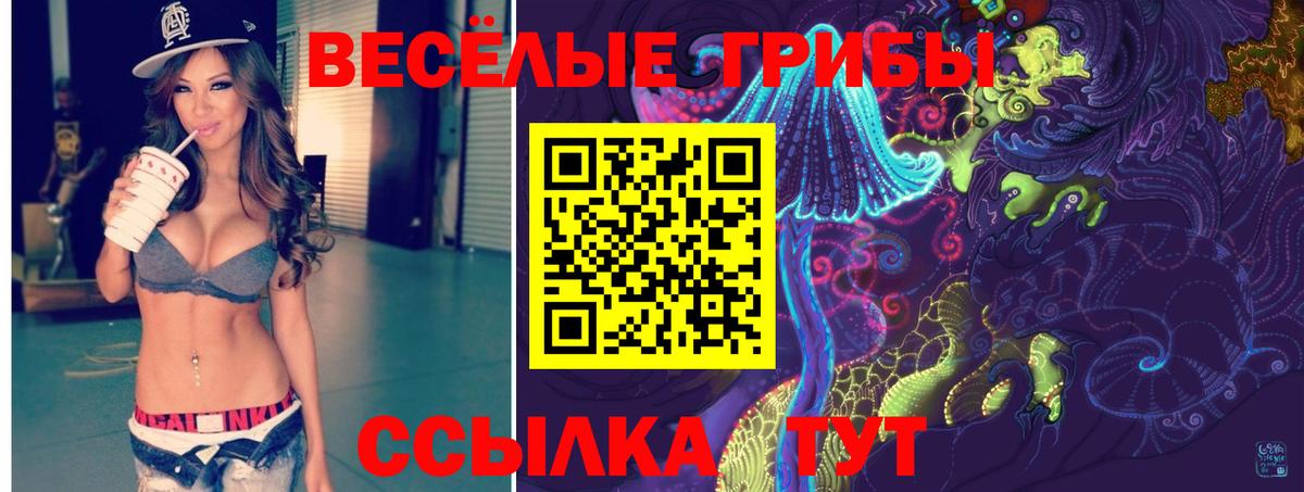 Черняховск  Галлюциногенные грибы Cubensis  Вход с VPN 